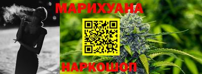 мдпв Славгород