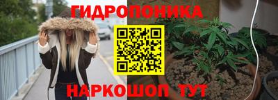 мдпв Славгород