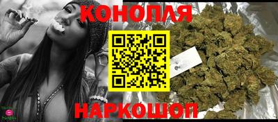 мдпв Славгород